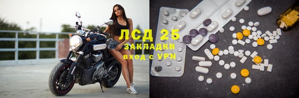 шишки Алексин