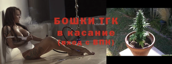 шишки Алексин