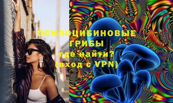 амф Алексеевка