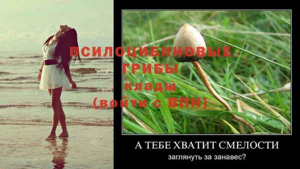 таблы Алзамай