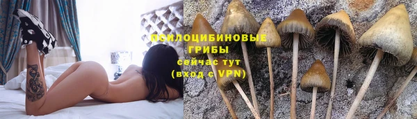 амф Алексеевка