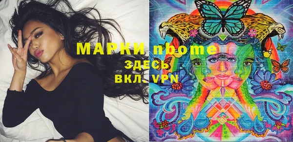шишки Алексин